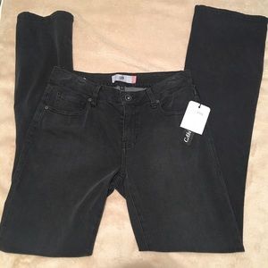 CAbi 3043 Shadow Curvy Slim Boot Cut Long Inseam